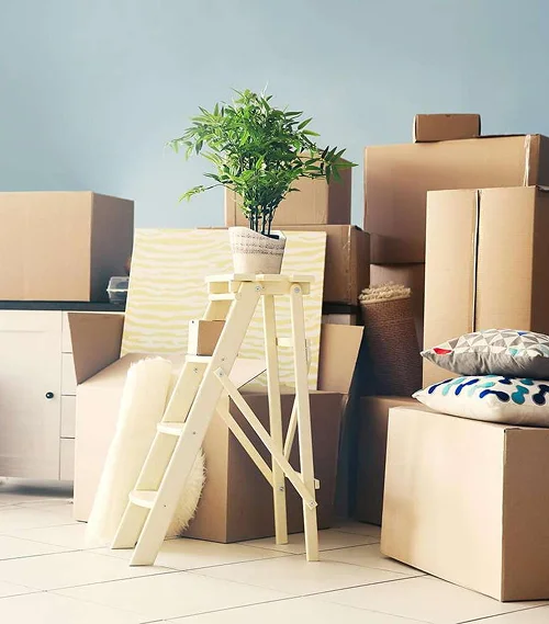 Stapels bruine verhuisdozen in een kamer met lichtblauwe muren. Op een trapladder staat een potplant en kleurrijke kussens liggen op een doos, wat een gevoel van verandering oproept.